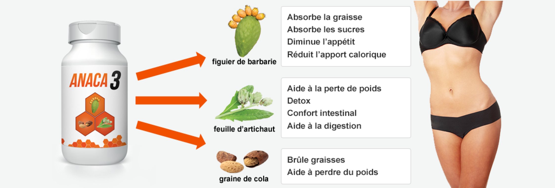 Comment maigrir avec anaca3, quelques avis ! Régime21 Comment maigrir avec anaca3, quelques avis ! Régime21