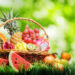 Forskolin pour maigrir : Efficace ? Régime21 Forskolin pour maigrir : Efficace ? Régime21